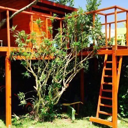 Bed and breakfast Ottomood And Tremestieri Etneo